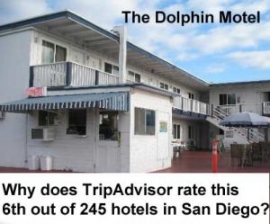 Business etiquette and great customer service highly rates the dolphin motel 